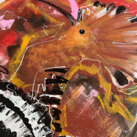 Hoopoe