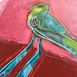 Finch
